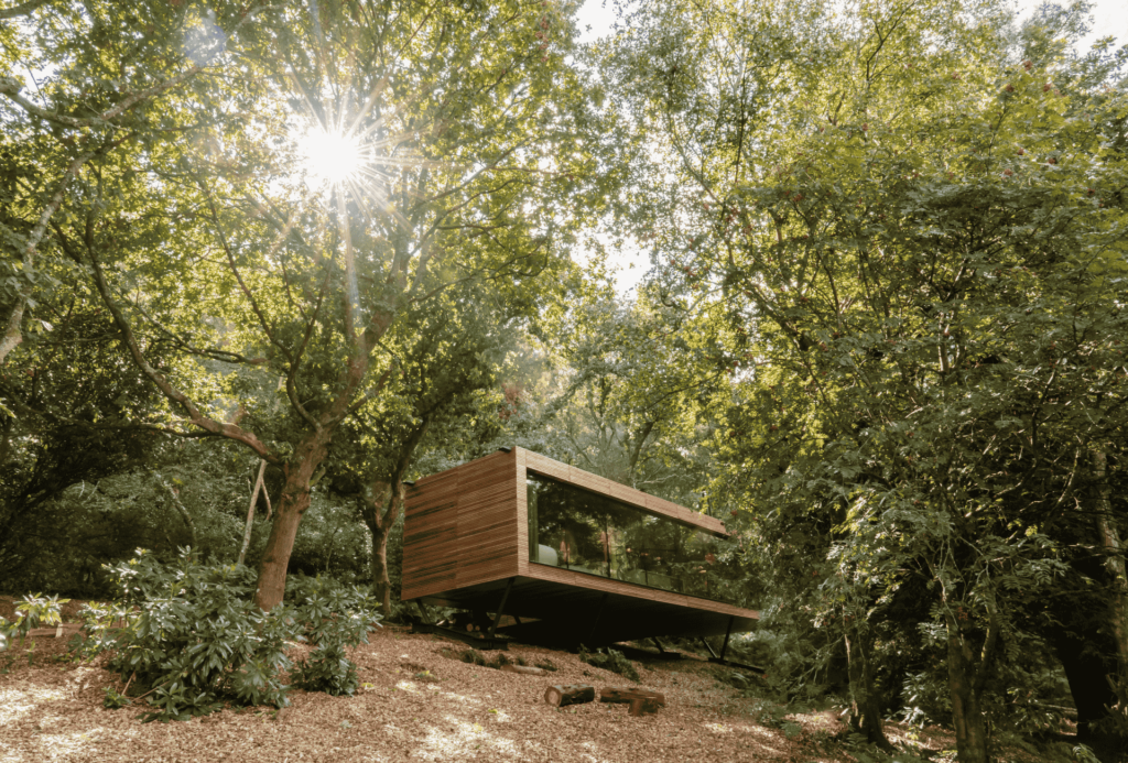 Looking Glass Lodge, modern large lodge situated in a picturesque forest in the south of England.