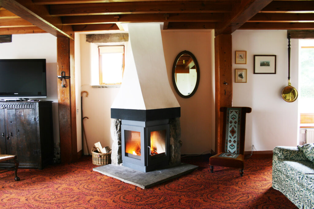 Living space with fireplaces, red carpets and a mirror.